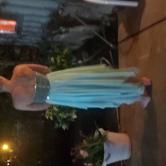 Sparkly Prom Dress - Picture 3 of 5